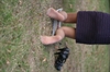 Thumnail / 2 / 23 / 64
